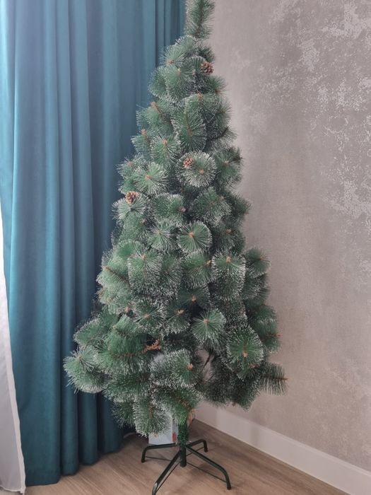 Ёлка отдам бесплатно