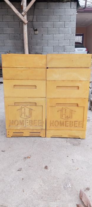 Ppu penopoliuletan yashiklar