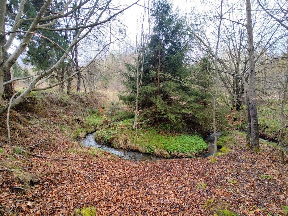 Teren Superb la Munte, Drăguș (BV) – Țara Făgărașului, zonă turistică, cu pârău, lângă Pârtia de Ski, Aventura Parc & Pizza Drăgus - 1000mp