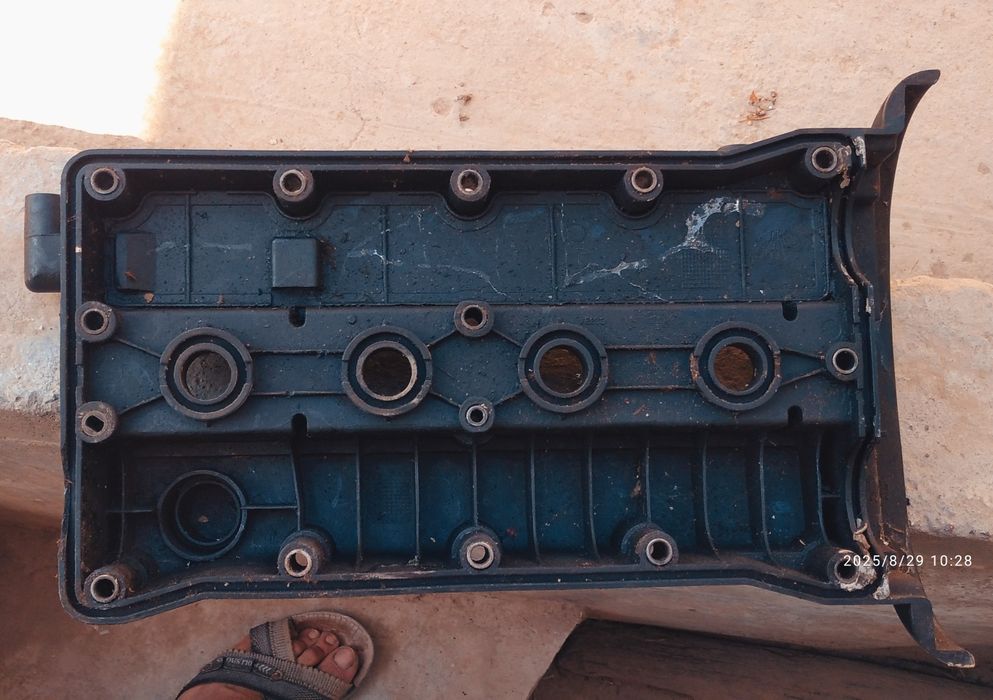 Qopqoq, krishka Dons