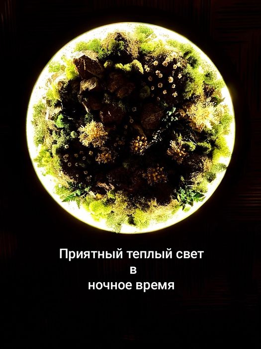 3d панно из стабилизированного мха