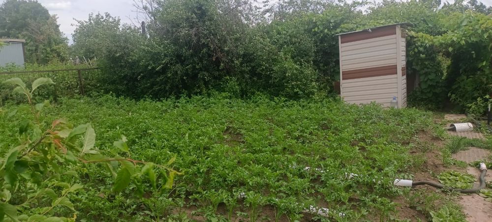 Продам дачу в с/к Автобусник.
