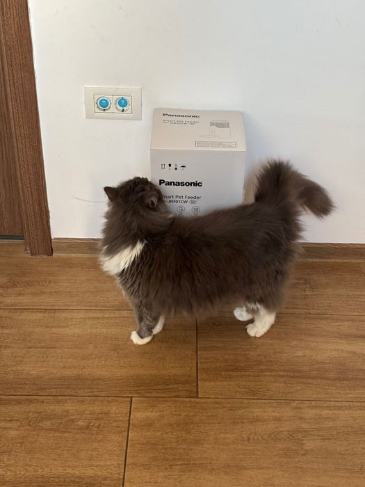 Vand aparat hrana animale Panasonic