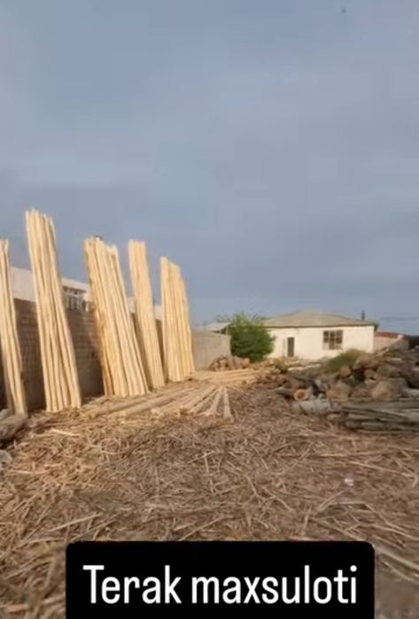 Тосин тусин страпмл оптим терак махсулотлри