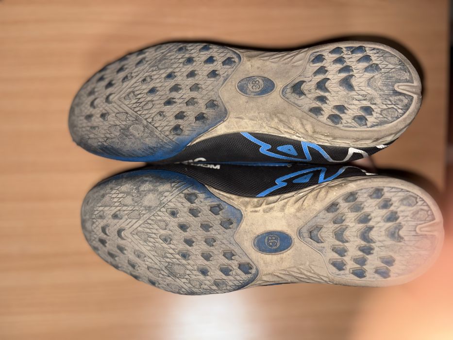 Сороконожки синие