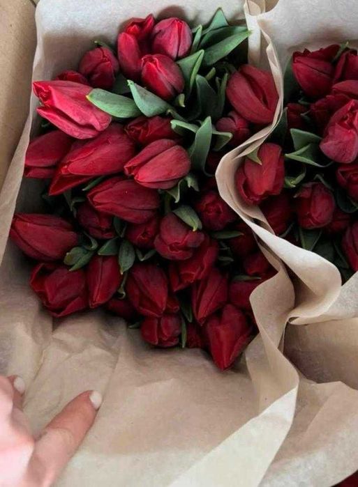 СКЛАД тюльпаны оптом и мелким оптом