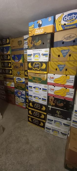 Кашони  за съхранение.