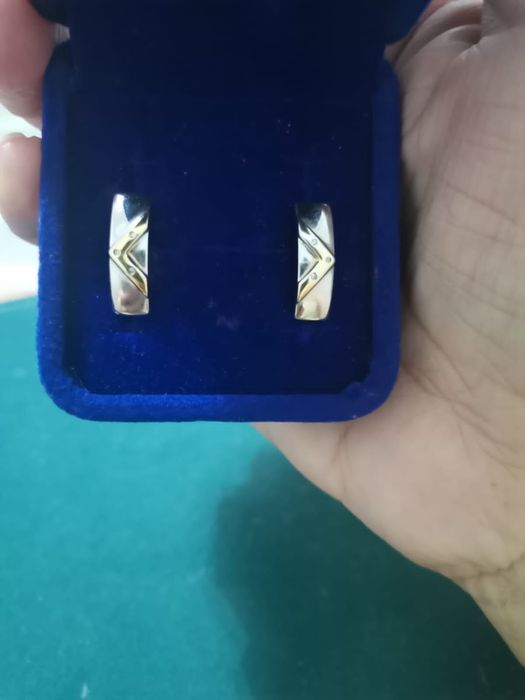 Сережки серебро.Соколо