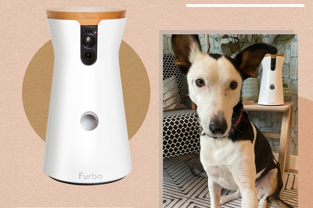 Vand dispenser căței, pisici,camera video,sunet .