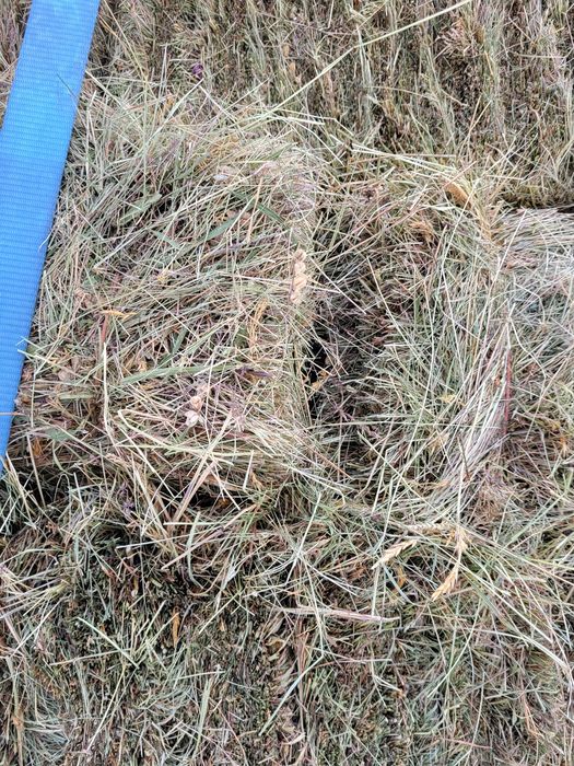 Vand baloti fan  coasa a 2