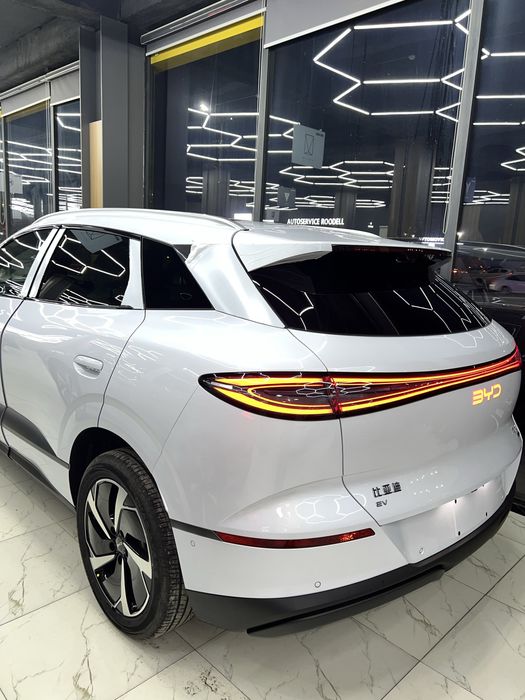 Other Seal 2025 — 6