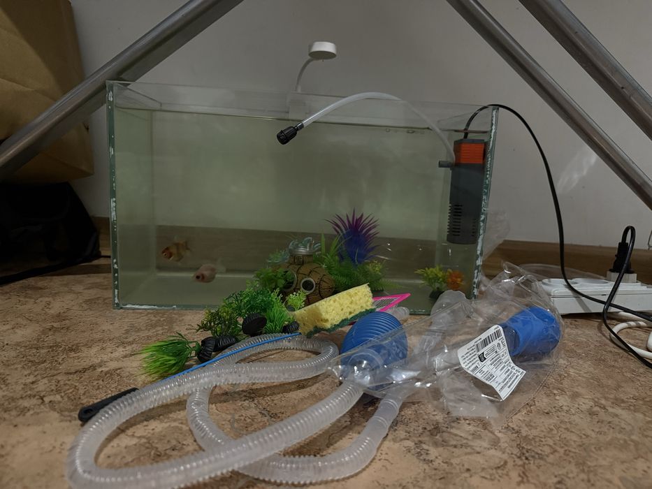 Ештене коймаймын