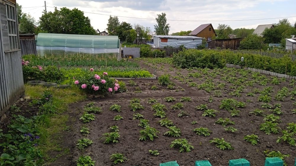 Продам дачу по мамлютской трассе ракета  общество