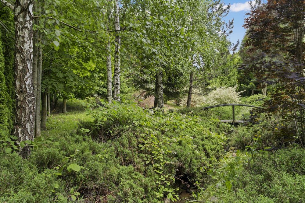 Direct Proprietar Terenuri Construibile Penteu Case De Vacanță de Vanzare Sinaia-Busteni 2200 mp Vedere Panoramică neperturbată