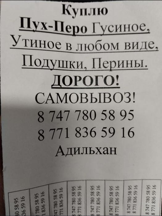 Скупаю подушки перины  5000