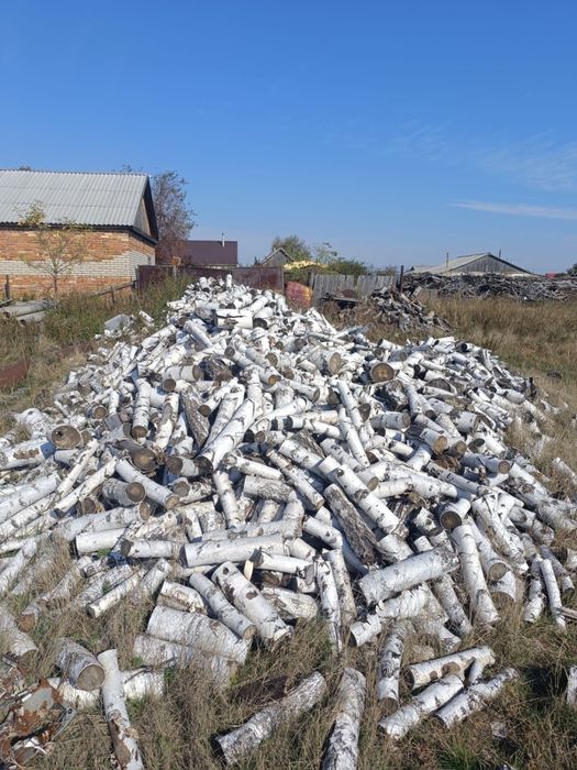 Продам дрова береза 10000 куб, самовывоз