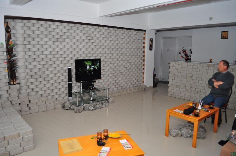 Cărămizi, brichete de sare