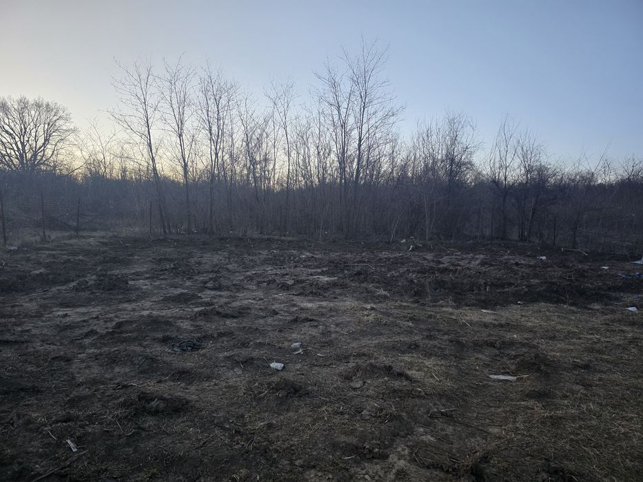 Teren langa pădure Ciurbesti
