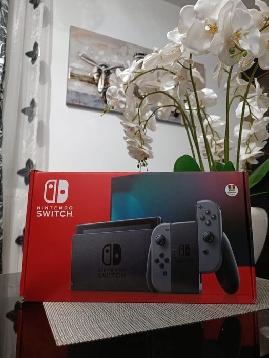 Nintendo switch se