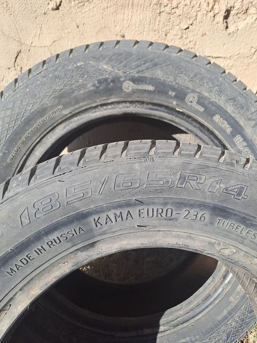 Продам пару летний шын