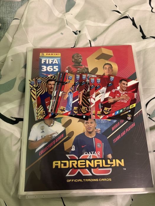 Album cu cartonase de fotbal + alte cartonase