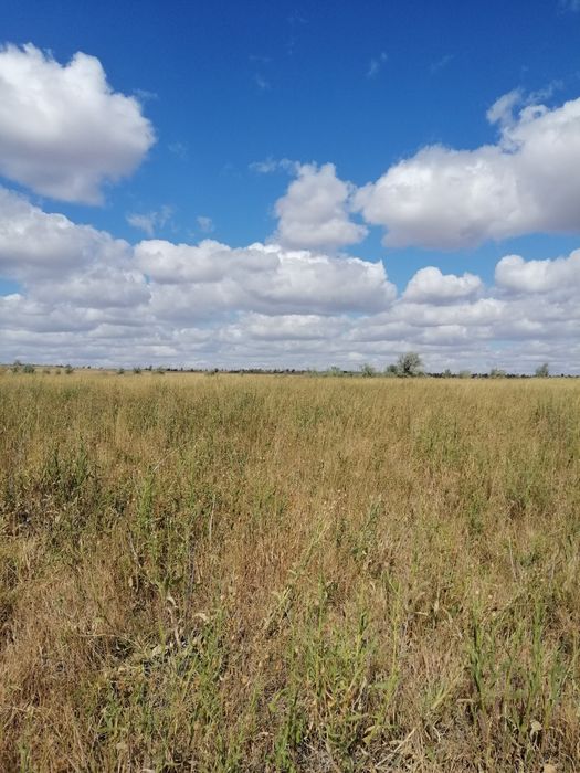 Продам землю под ИЖС жм Серпін или обмен