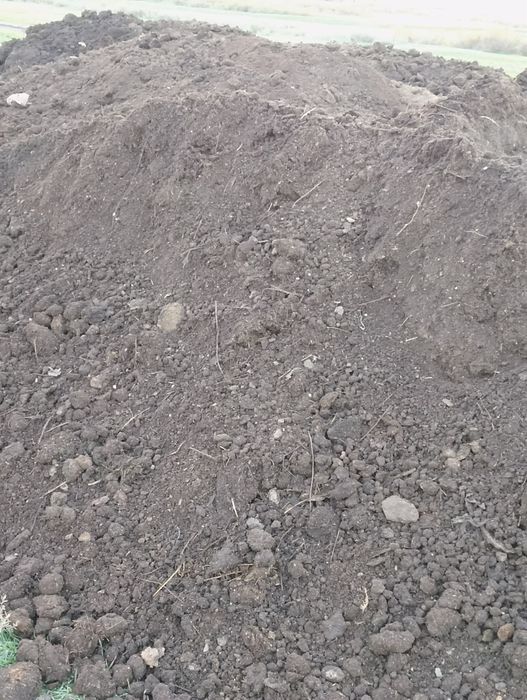 Перегной, Навоз чистый