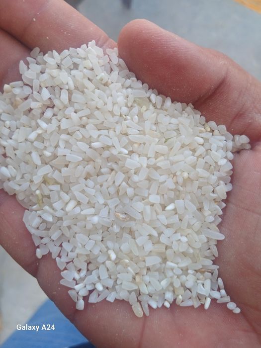 Guruch sechkasi top toza faqat abyomga