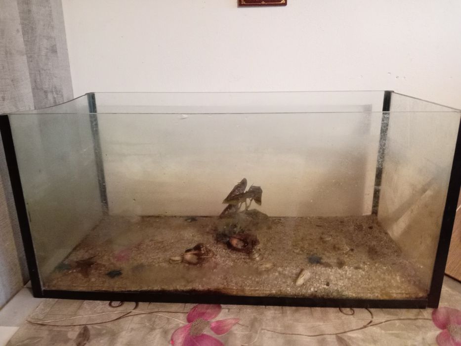 Vând urgent acvariu de 90 de litri