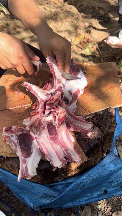 Aqiqaga qo’chqorlar‼️