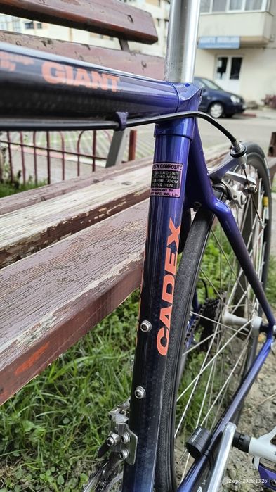 Cursiera Giant carbon