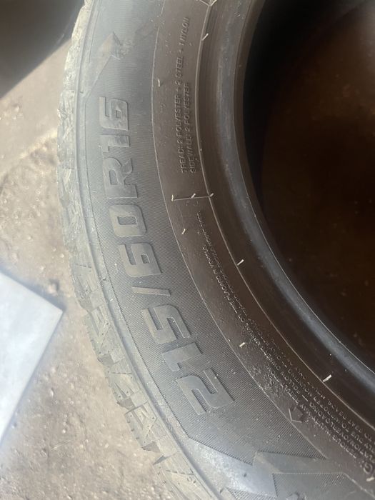 Зимни шиповпный балон