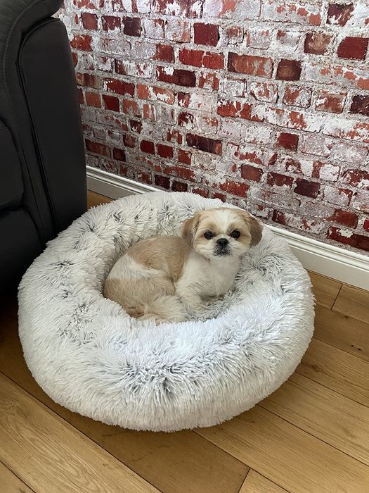 Легло за домашни любимци, за кучета и котки 76х76 см, Best Friends by