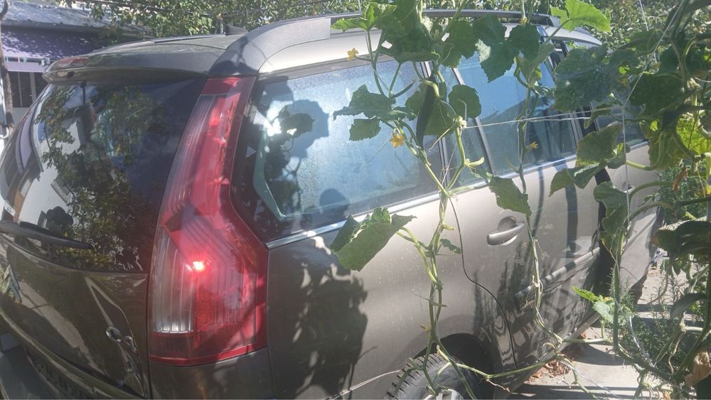 Ситроен С4/citroen c4