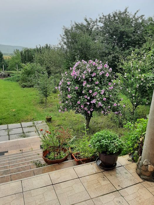 CASA  IN CUCI + 1 ha teren