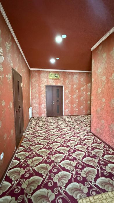 Do'stlik 2014 kotej sotiladi