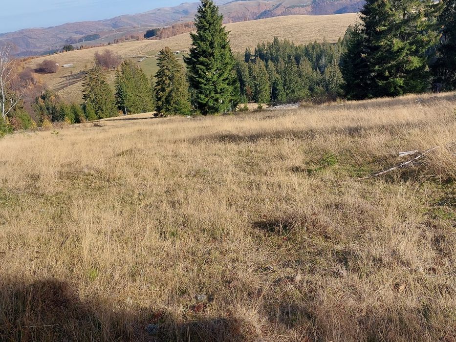 Vând teren in Arț