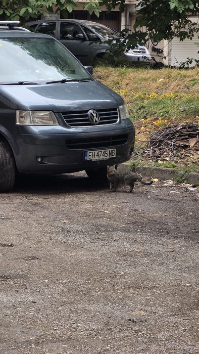 Vw T5 на части !