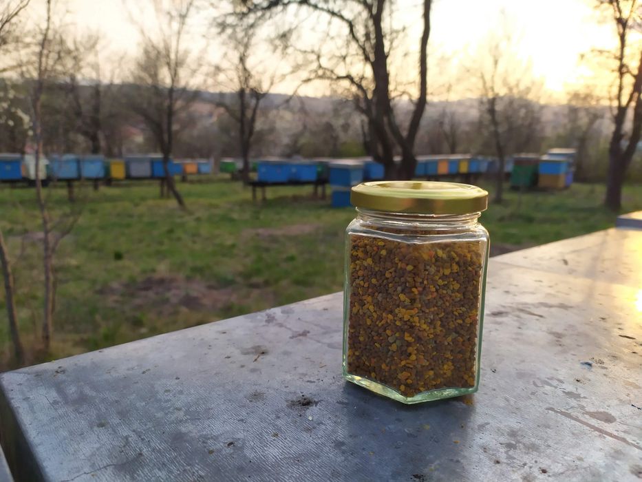 Polen crud congelat, miere, cătină , etc