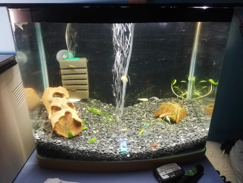 Аквариуми и терариуми с риби и оборудване