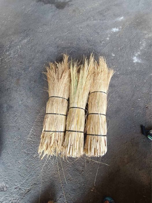 Метла   метлица