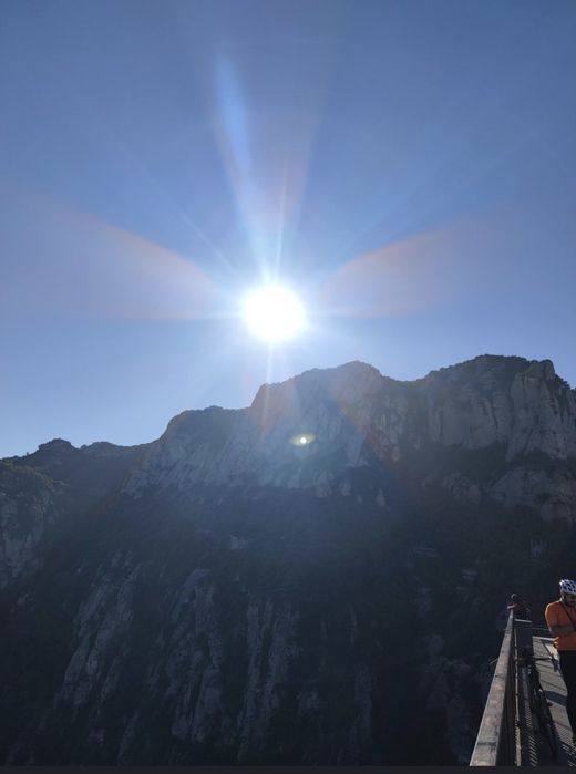 Услуги психолога