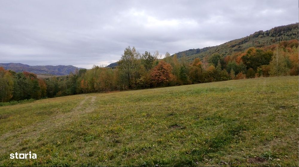 2652 mp, extravilan/comision 0% Sinca Noua Brasov