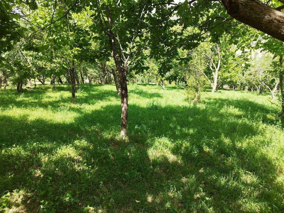 Евро дача в горах {Нанай} 40 сот