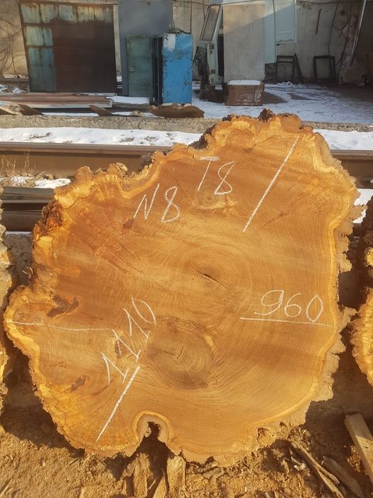 Карагач торцевые спилы