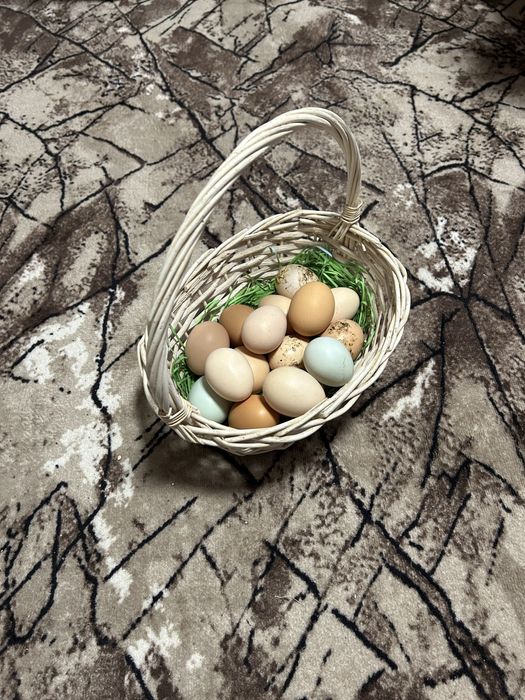 Продавам домашни яйца