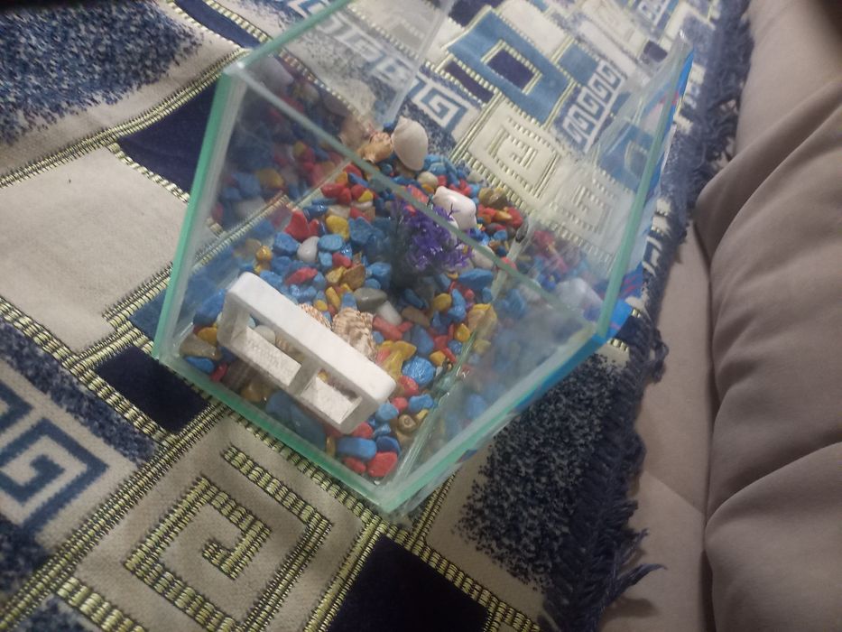 Продам 4л аквариум