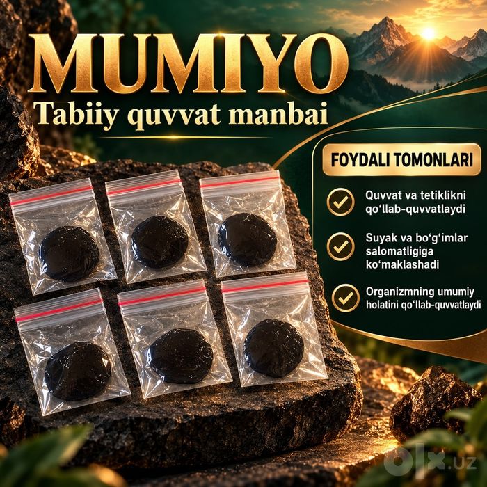 Momiyo Момиё (Dastavka bor)