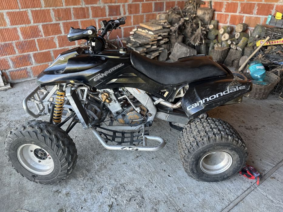 Quad Cannodale Cannibal 440 Model USA