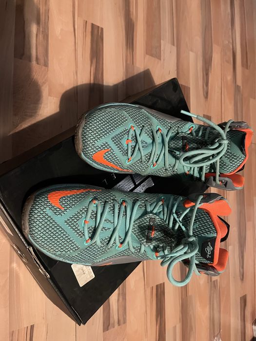 Nike Lebron 12 NSRL (2014)